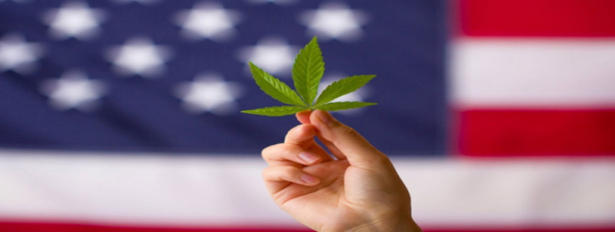 Draft US Cannabis Reform Bill Released