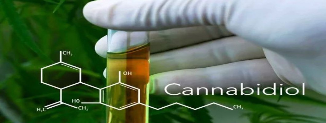 Cannabidiol (CBD) helps Cancer Chemotherapy