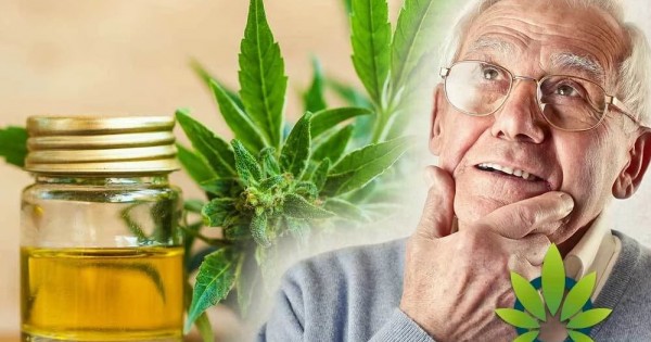 Cannabidiol (CBD) may Reduce Plaque and Improve Cognitive Ability