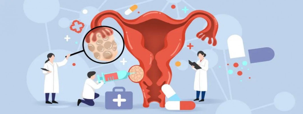 NMN: A Breakthrough for Ovarian Health