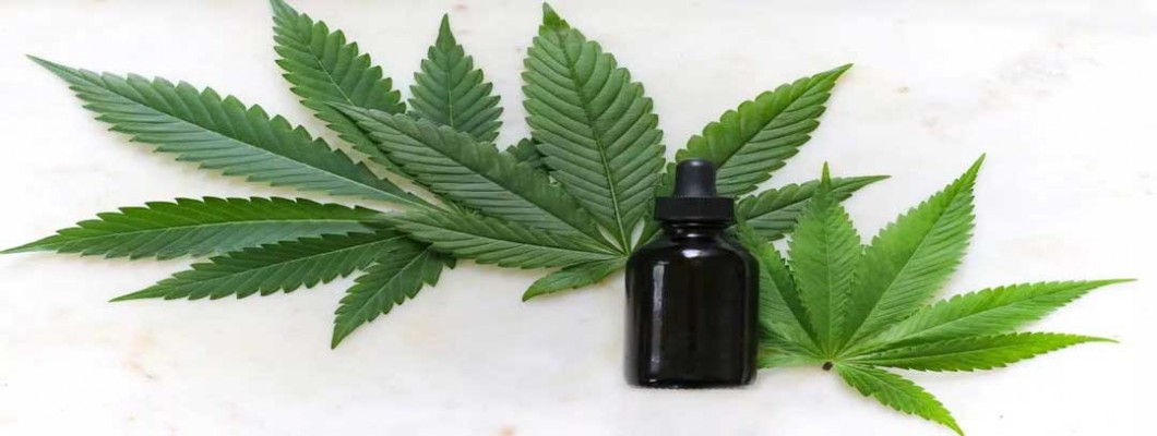 Shocking! CBD May Improve Alzheimer’s or Restore Patients’ Memory!