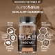 AureaSalus Shilajit Gummies with Chaga and Ashwagandha, 1400mg 60 Gummies