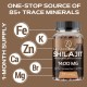 AureaSalus Shilajit Gummies con Chaga y Ashwagandha, 1400mg 60 Gomitas