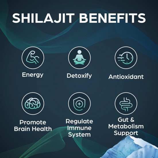 Gozitepe Résine de Shilajit purifiée de l'Himalaya 30g