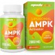 Mechicoco Liposomal AMPK Activator Capsules 2000 mg, avec Quercétine Dihydrate, Resvératrol et Ecorce de Cannelle