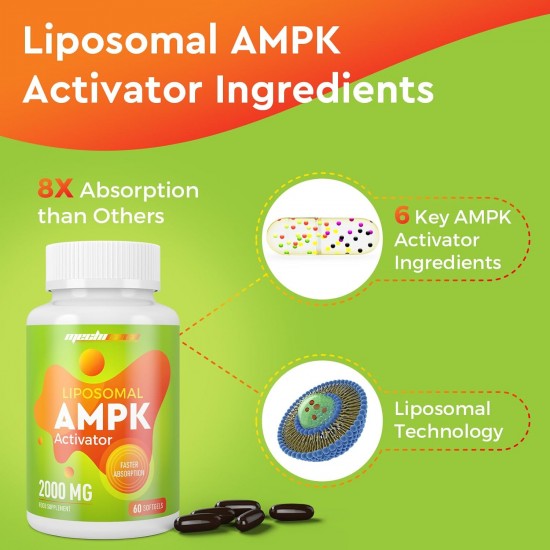 Mechicoco Liposomal AMPK Activator Capsules 2000 mg, avec Quercétine Dihydrate, Resvératrol et Ecorce de Cannelle