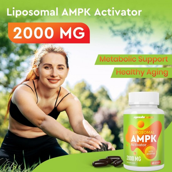 Mechicoco Liposomal AMPK Activator Capsules 2000 mg, with Quercetin Dihydrate, Resveratrol and Cinnamon Bark