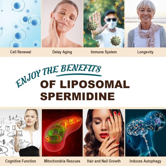 Sohahila Liposomal Spermidine Supplément avec Zinc & Thiamine, 60 gélules